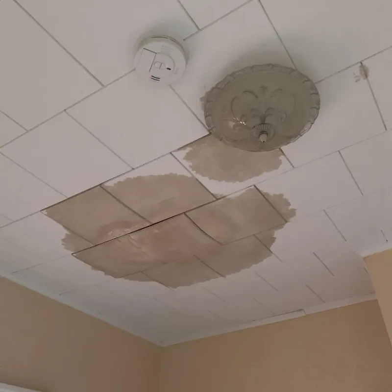 Ceiling Water Damage Repair in Pitcairn, PA
