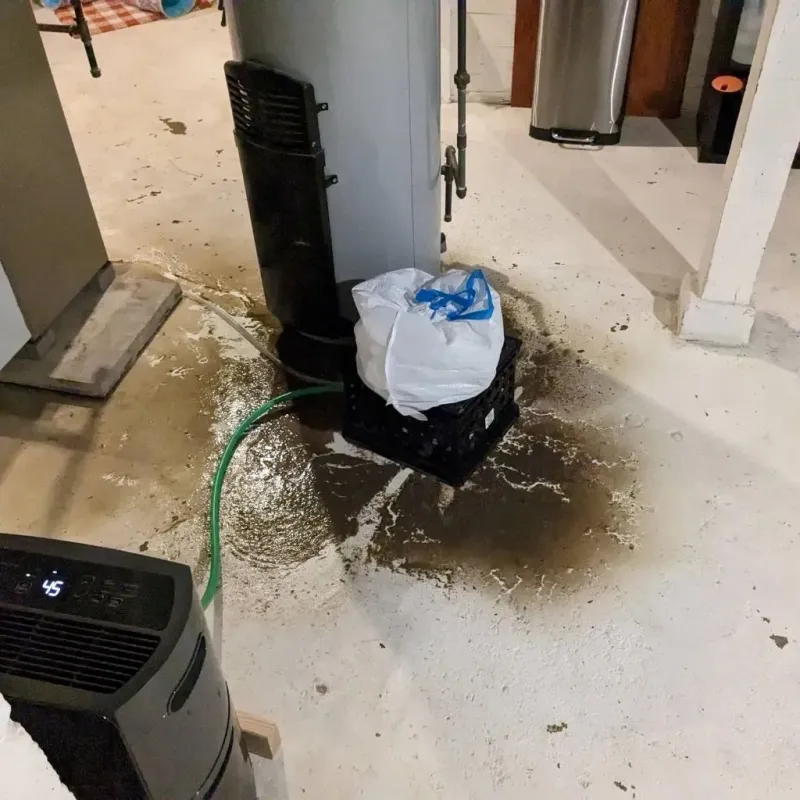 Sewage Backup Cleanup Service in Pitcairn, PA